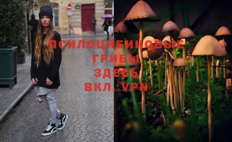 Псилоцибиновые грибы Magic Shrooms  Буинск 